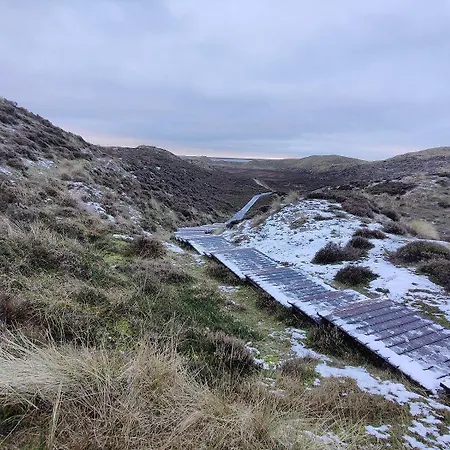 Theodor-storm-str-6-wohnung-4 Apartament *